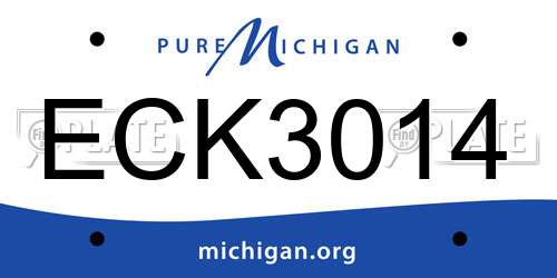 ECK3014 Michigan License Plate