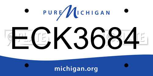 ECK3684 Michigan License Plate