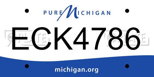 ECK4786 Michigan License Plate