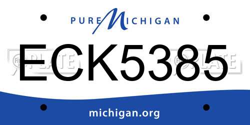 ECK5385 Michigan License Plate