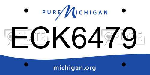 ECK6479 Michigan License Plate