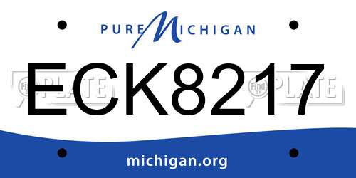 ECK8217 Michigan License Plate