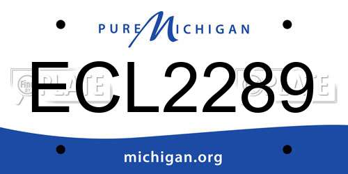 ECL2289 Michigan License Plate