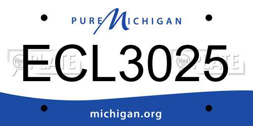 ECL3025 Michigan License Plate