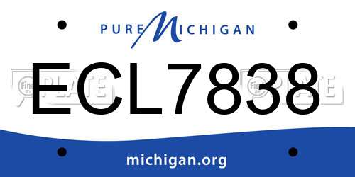 ECL7838 Michigan License Plate