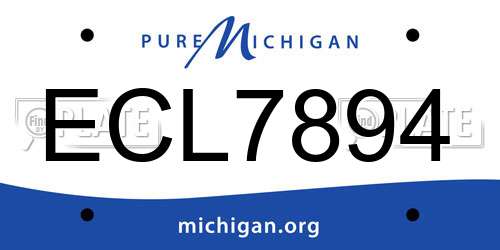 ECL7894 Michigan License Plate