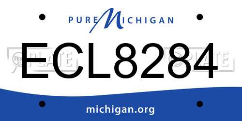 ECL8284 Michigan License Plate