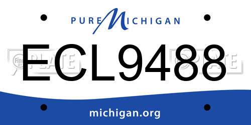 ECL9488 Michigan License Plate