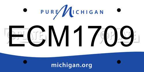 ECM1709 Michigan License Plate