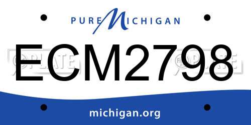 ECM2798 Michigan License Plate