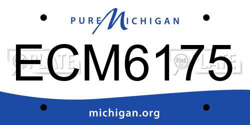 ECM6175 Michigan License Plate