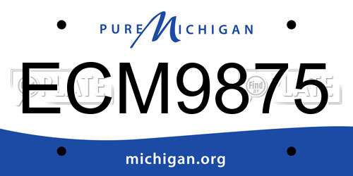 ECM9875 Michigan License Plate
