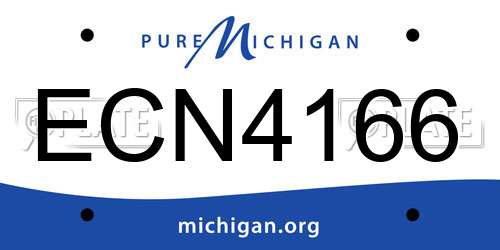 ECN4166 Michigan License Plate