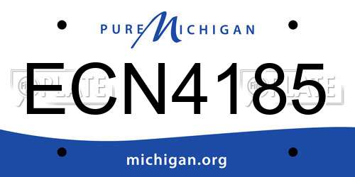 ECN4185 Michigan License Plate