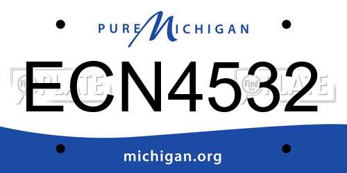 ECN4532 Michigan License Plate