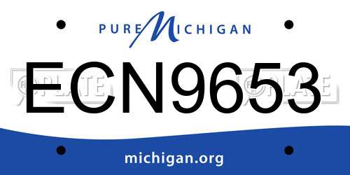 ECN9653 Michigan License Plate