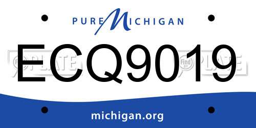 ECQ9019 Michigan License Plate