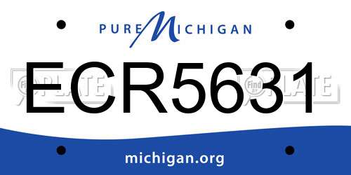 ECR5631 Michigan License Plate
