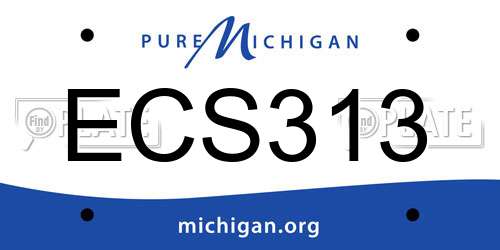 ECS313 Michigan License Plate