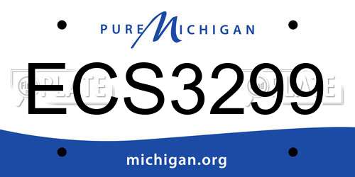 ECS3299 Michigan License Plate