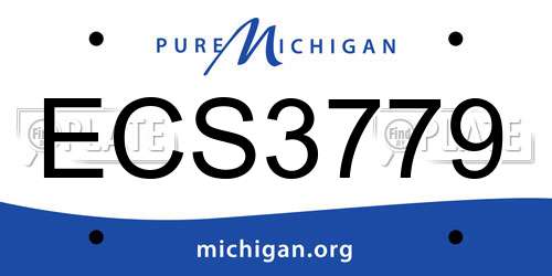 ECS3779 Michigan License Plate