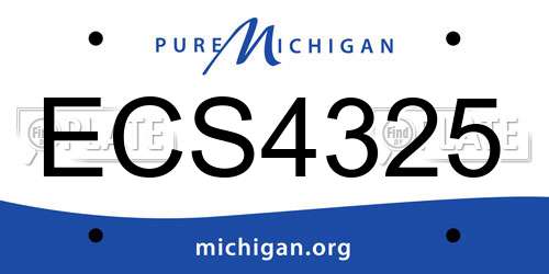 ECS4325 Michigan License Plate