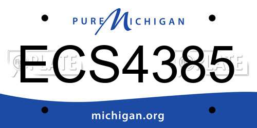 ECS4385 Michigan License Plate