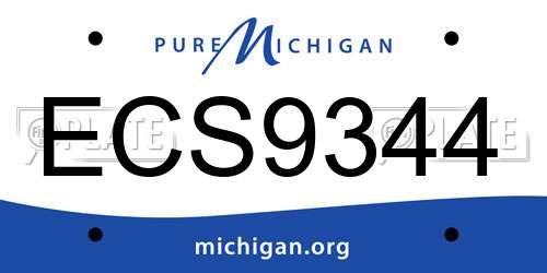 ECS9344 Michigan License Plate