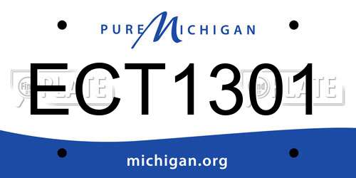 ECT1301 Michigan License Plate