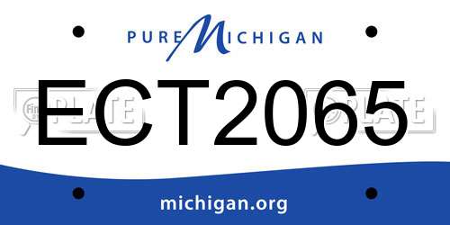 ECT2065 Michigan License Plate