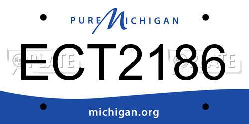 ECT2186 Michigan License Plate