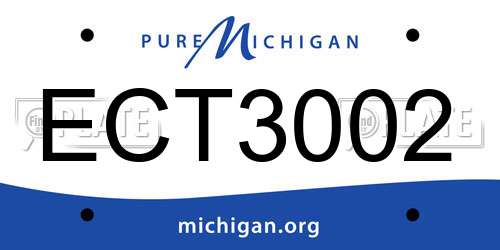 ECT3002 Michigan License Plate