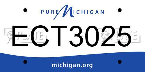 ECT3025 Michigan License Plate