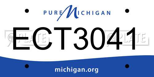 ECT3041 Michigan License Plate
