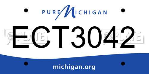 ECT3042 Michigan License Plate