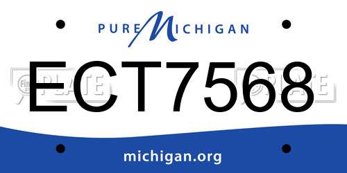 ECT7568 Michigan License Plate