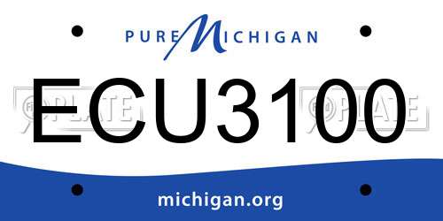 ECU3100 Michigan License Plate