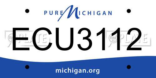 ECU3112 Michigan License Plate