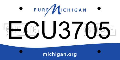 ECU3705 Michigan License Plate