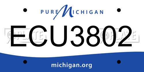 ECU3802 Michigan License Plate
