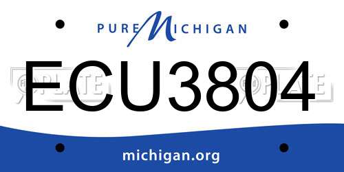 ECU3804 Michigan License Plate