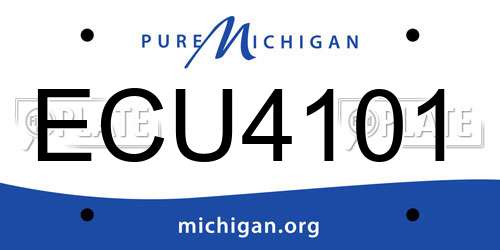 ECU4101 Michigan License Plate