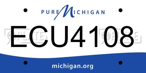 ECU4108 Michigan License Plate
