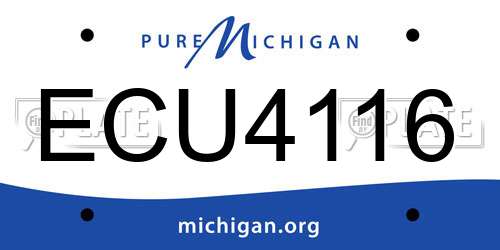 ECU4116 Michigan License Plate