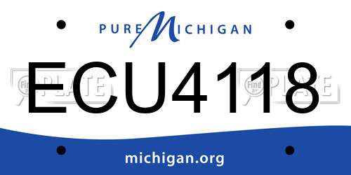 ECU4118 Michigan License Plate