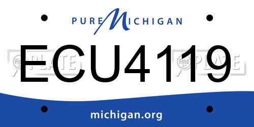 ECU4119 Michigan License Plate