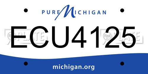 ECU4125 Michigan License Plate