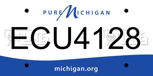 ECU4128 Michigan License Plate