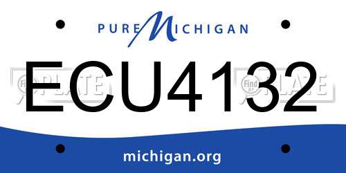 ECU4132 Michigan License Plate