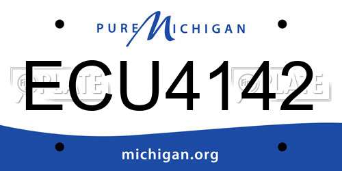 ECU4142 Michigan License Plate